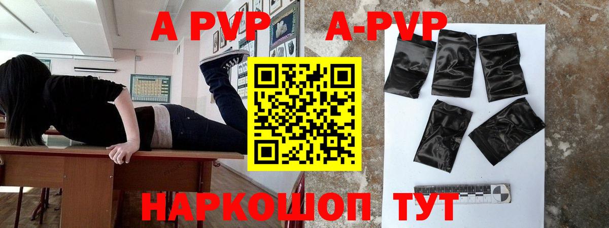 Альфа ПВП СК КРИС Кызыл
