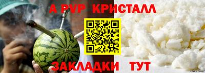 кокс Кингисепп
