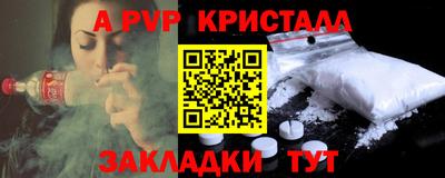 кокс Кингисепп