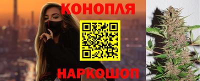 кокс Кингисепп
