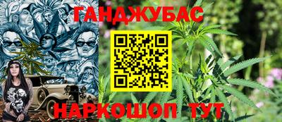 кокс Кингисепп