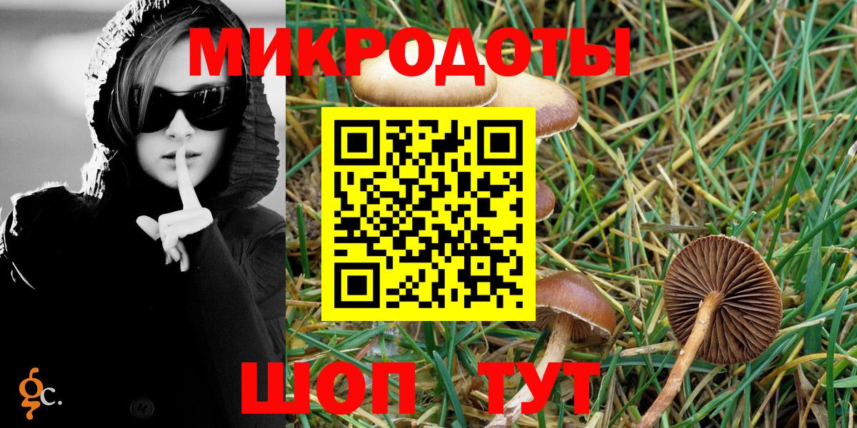Кызыл  Галлюциногенные грибы MAGIC MUSHROOMS  купить наркотик  Вход с VPN 