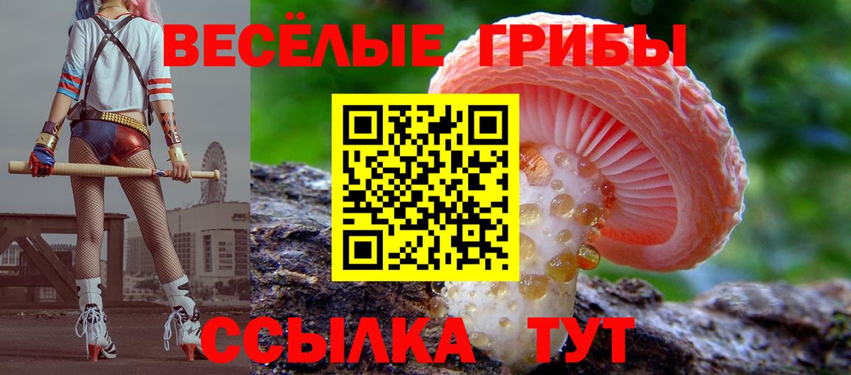 Псилоцибиновые грибы GOLDEN TEACHER Кызыл
